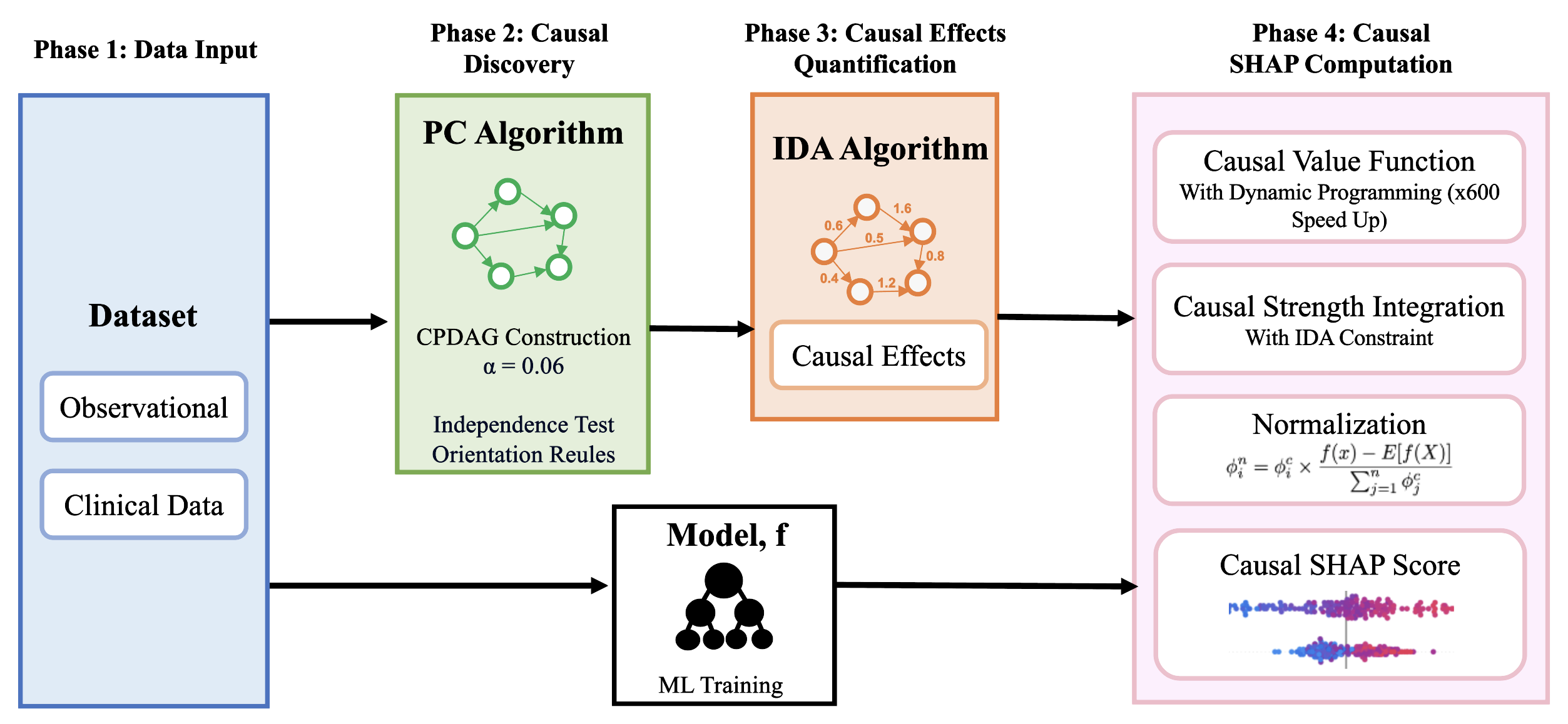 Uncovering Gut Microbiome Contributions to Irritable Bowel Syndrome Using Causality-Aware Explainable AI