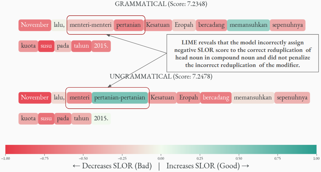 LIME analysis for Reduplication